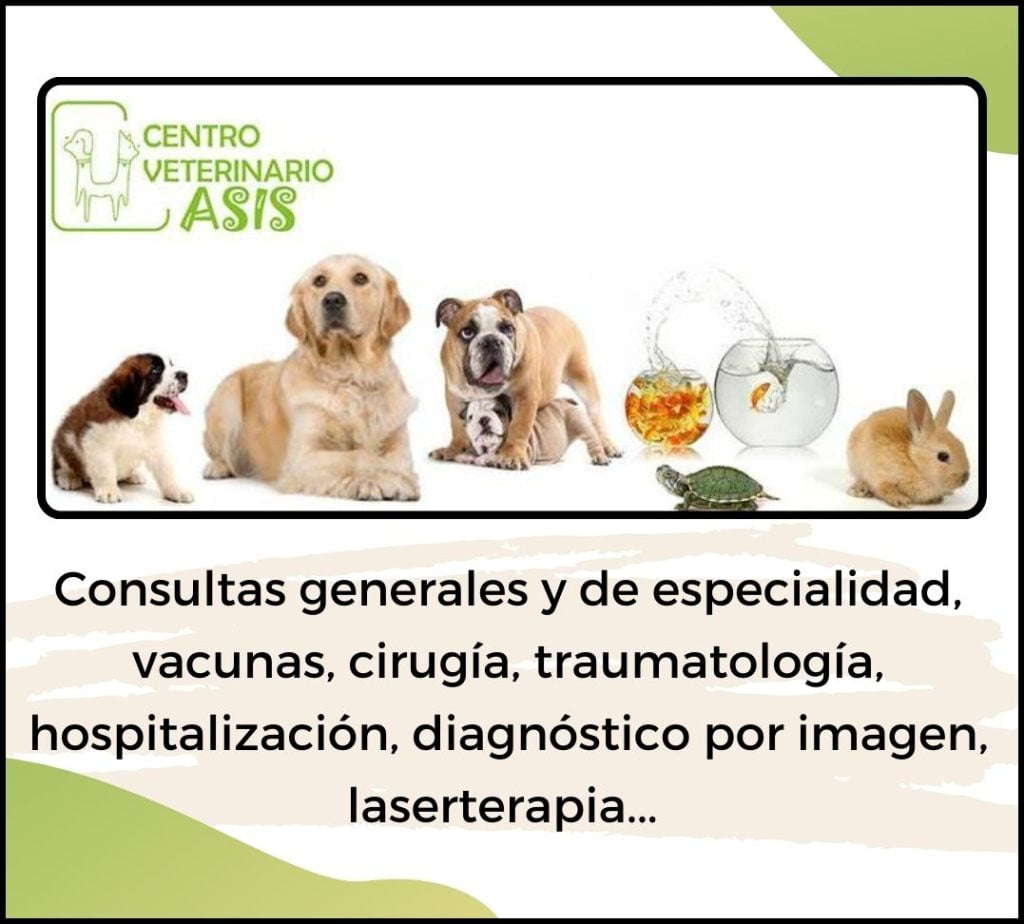 alcazar de san juan ciudad real vive alcazar de san juan 89