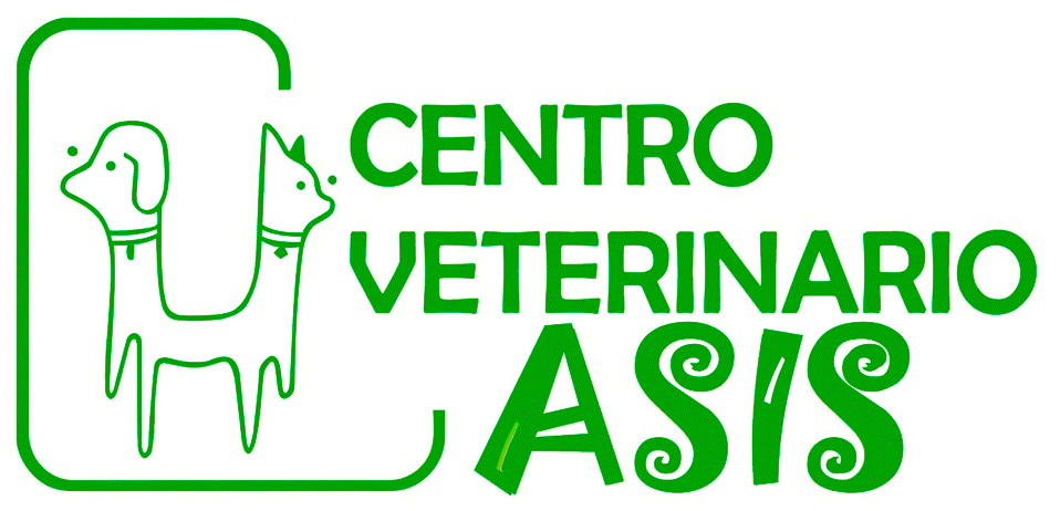 centro veterinario asis alcazar de san juan ciudad real vive alacazar de san juan 2