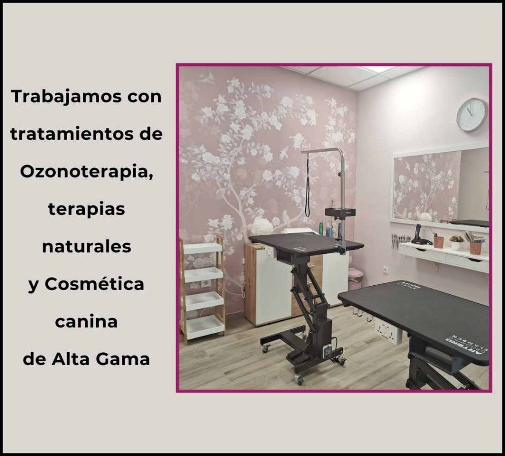 serendipia estetica canina alcazar de san juan 2