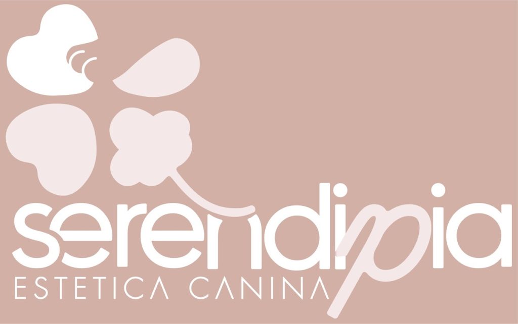 serendipia estetica canina alcazar de san juan 4