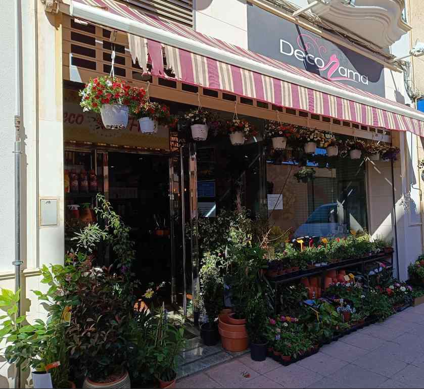 deco flor socuellamos ciudad real vive socuellamos 13