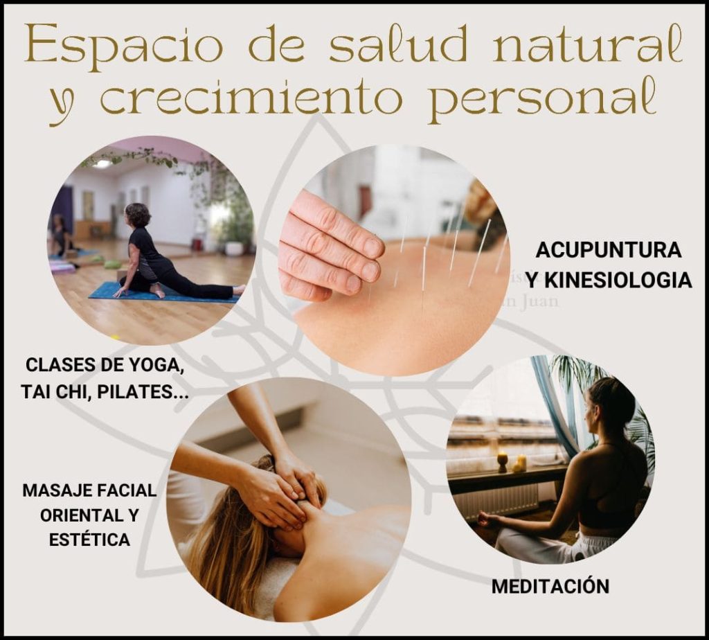 instituto holistico alcazar ciudad real vive alcazar de san juan 33 1