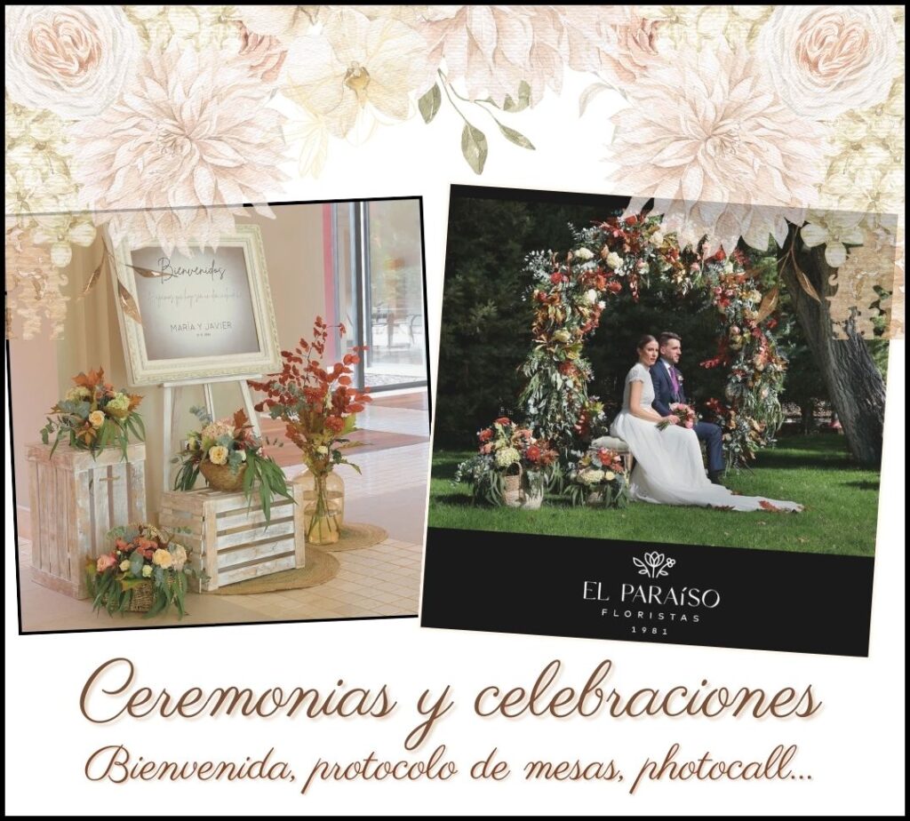 el paraiso floristas alcazar de san juan vive alcazar de san juan 2